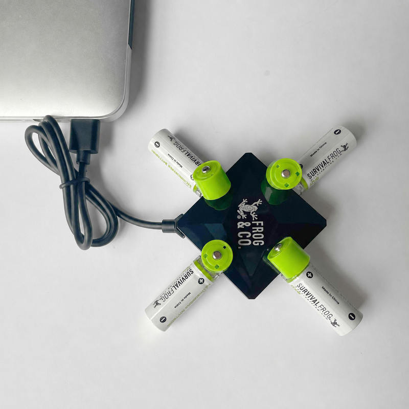 Load image into Gallery viewer, USB Rechargeable AA Batteries w/4-port USB Charger