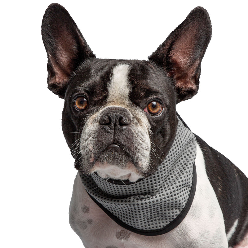 Load image into Gallery viewer, US Army Dog Cooling Bandana - Grey
