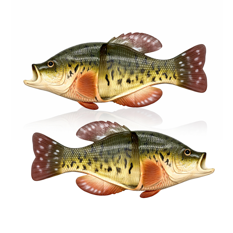 Load image into Gallery viewer, Fish Sandal Adult Medium-Crappie
