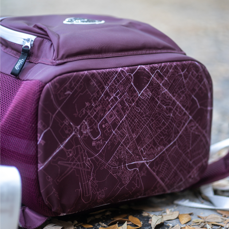 Load image into Gallery viewer, Texas A&M University Backpack Cooler