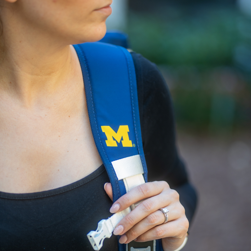 Load image into Gallery viewer, University of Michigan Backpack Cooler