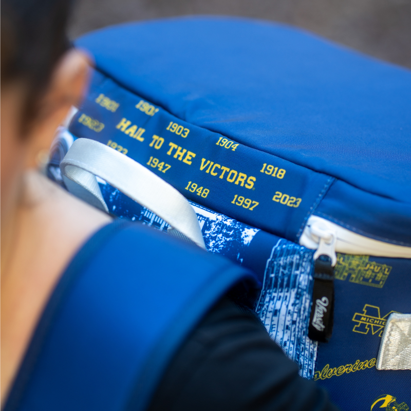 Load image into Gallery viewer, University of Michigan Backpack Cooler