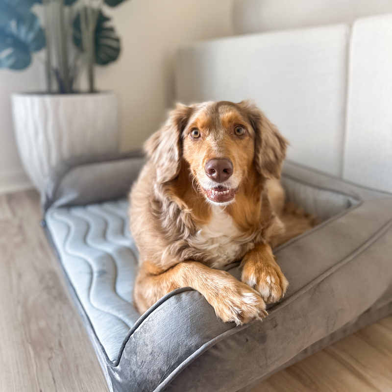 Load image into Gallery viewer, PupChill™ Cooling Bolster Dog Bed