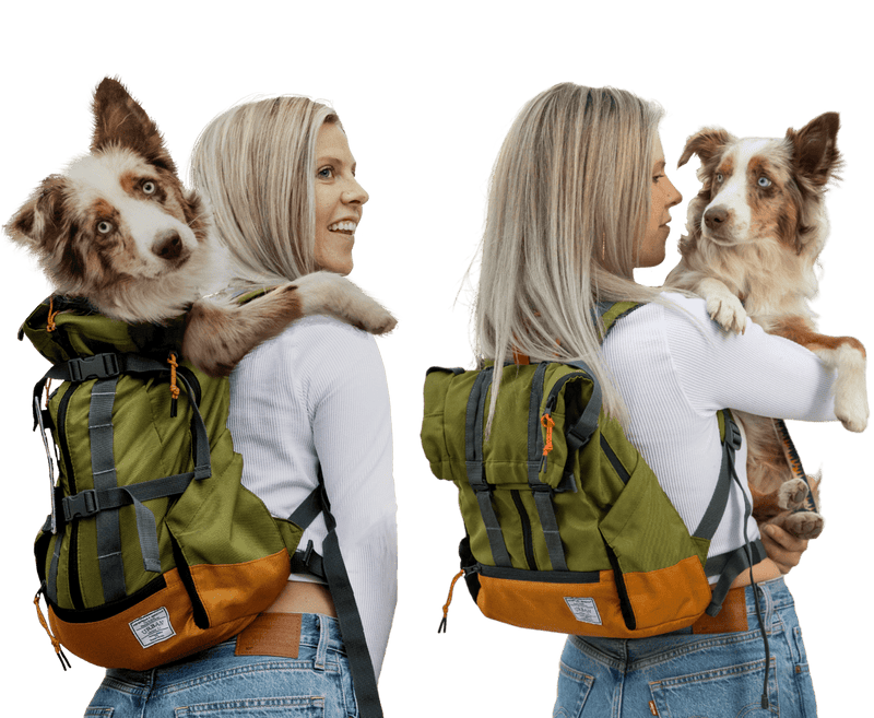 Load image into Gallery viewer, Urban 3 | Dual Use Dog Carrier & Traditional Backpack