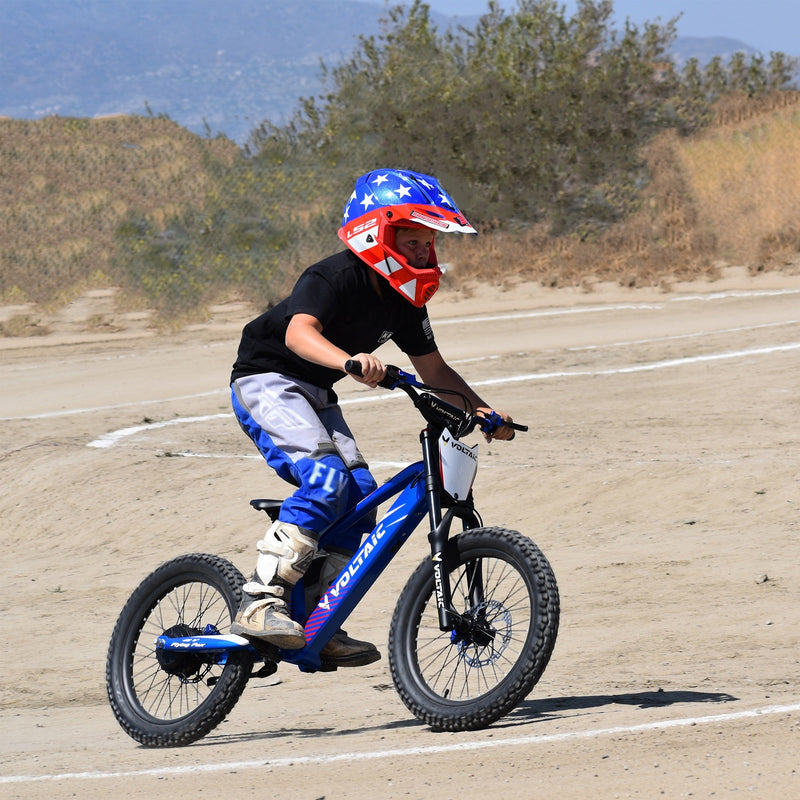 Load image into Gallery viewer, Voltaic Youth Electric Dirt Bike 20'' Flying Fox 48V