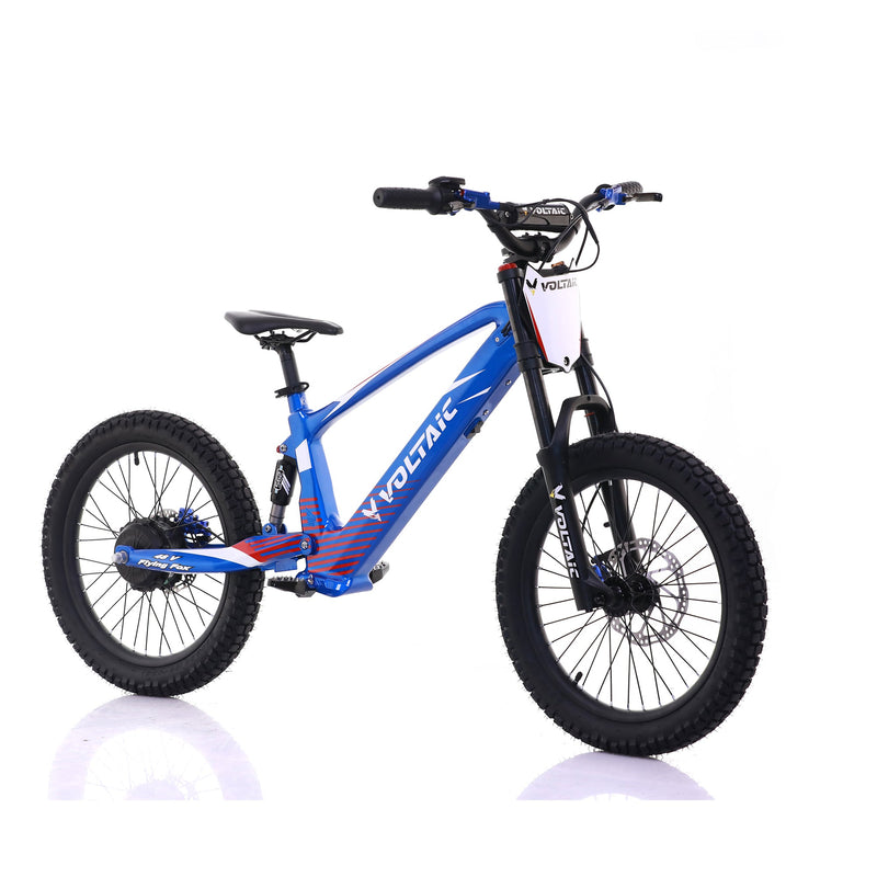 Load image into Gallery viewer, Voltaic Youth Electric Dirt Bike 20'' Flying Fox 48V