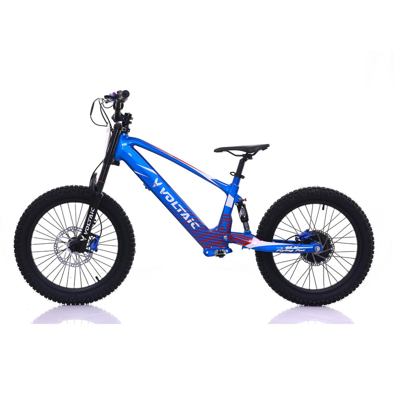 Load image into Gallery viewer, Voltaic Youth Electric Dirt Bike 20'' Flying Fox 48V