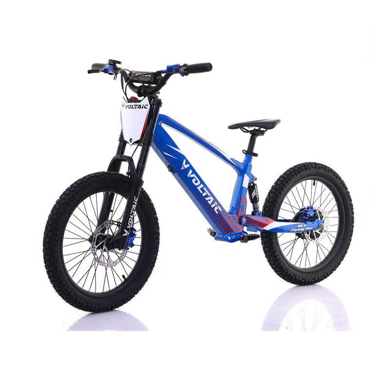 Load image into Gallery viewer, Voltaic Youth Electric Dirt Bike 20'' Flying Fox 48V