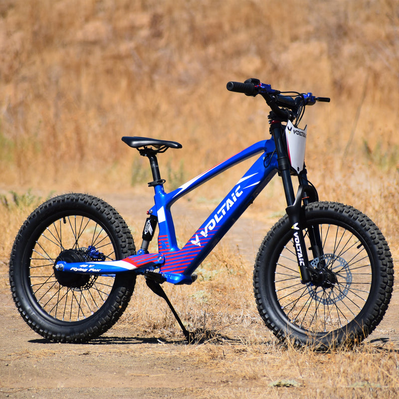 Load image into Gallery viewer, Voltaic Youth Electric Dirt Bike 20'' Flying Fox 48V