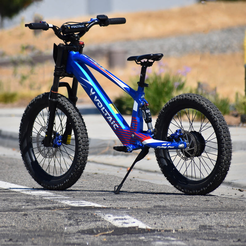 Load image into Gallery viewer, Voltaic Youth Electric Dirt Bike 20'' Flying Fox 48V