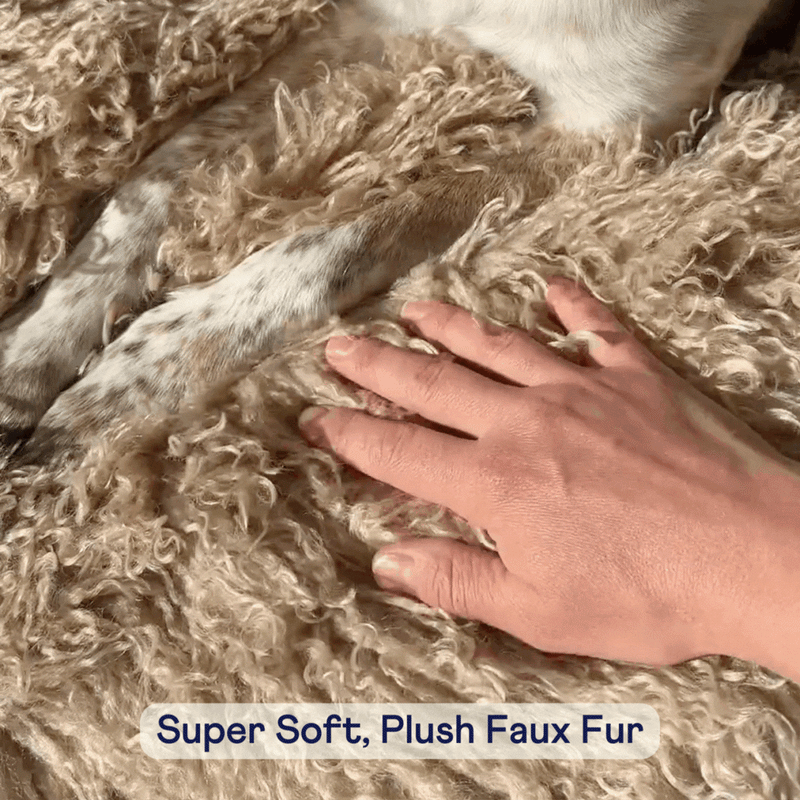 Load image into Gallery viewer, PupRug® Luxe Faux Fur Orthopedic Dog Bed - Plush Sheep Tan