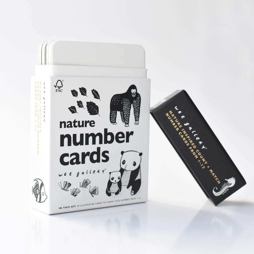 Counting Adventure Bundle - Skoutley Outdoors LLC