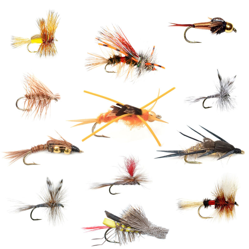 Load image into Gallery viewer, Trout Fly Assortment - Essential Western Dry and Nymph Fly Fishing Flies Collection - 1 Dozen Trout Flies with Fly Box