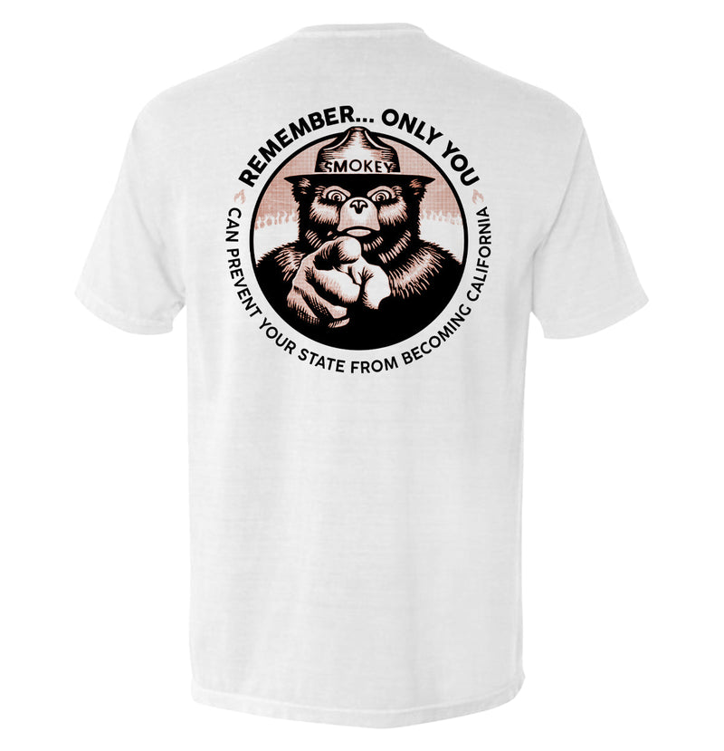Load image into Gallery viewer, Remember Only you can prevent your state from becoming California