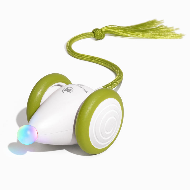 Load image into Gallery viewer, Wicked Mouse Neo