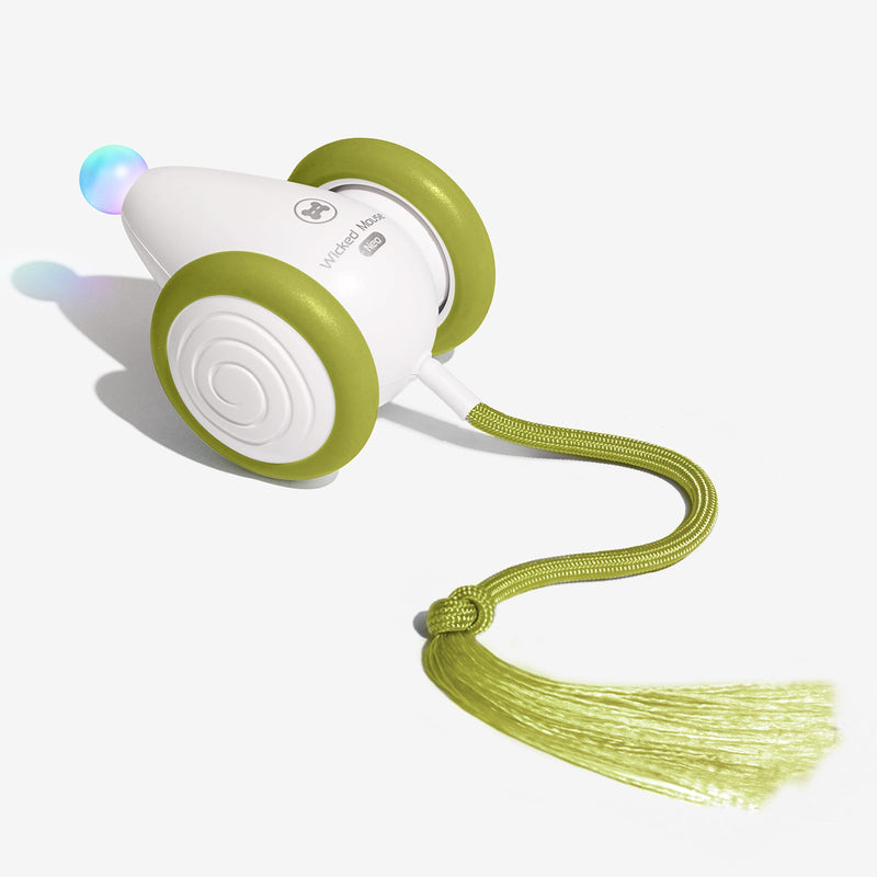 Load image into Gallery viewer, Wicked Mouse Neo