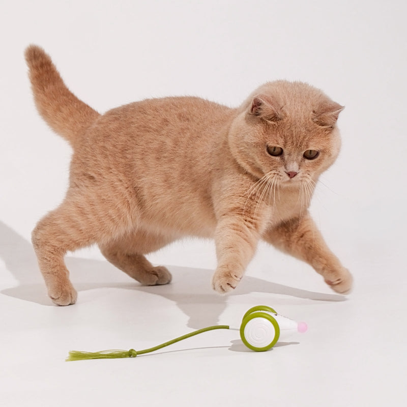 Load image into Gallery viewer, Wicked Mouse Neo