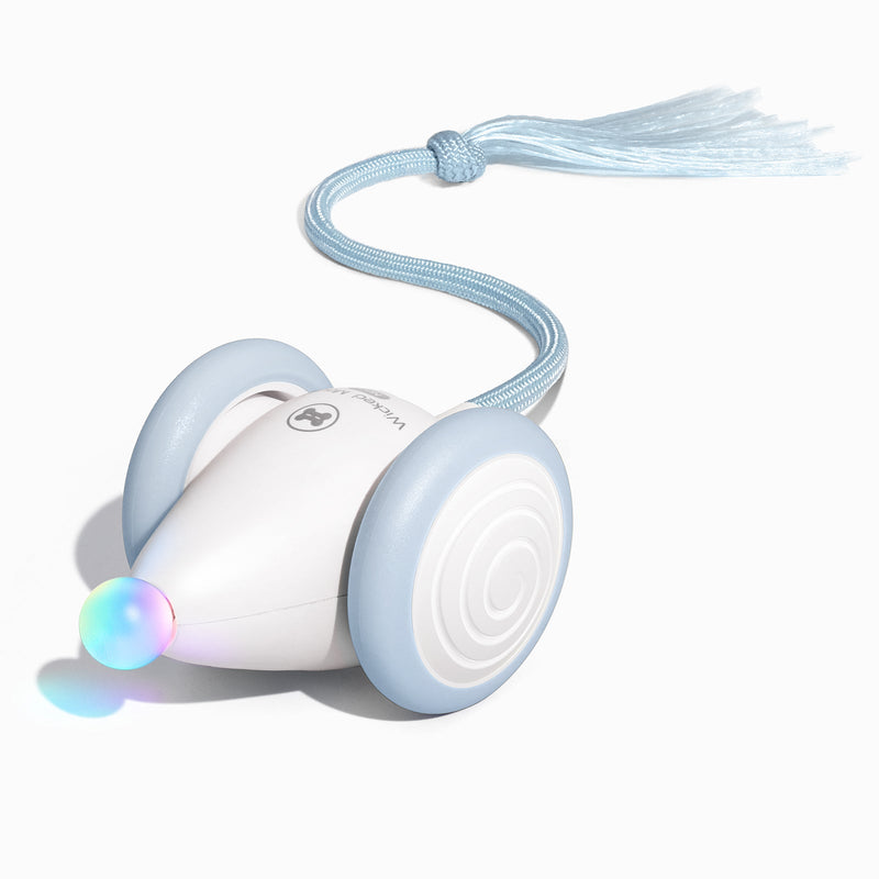 Load image into Gallery viewer, Wicked Mouse Neo
