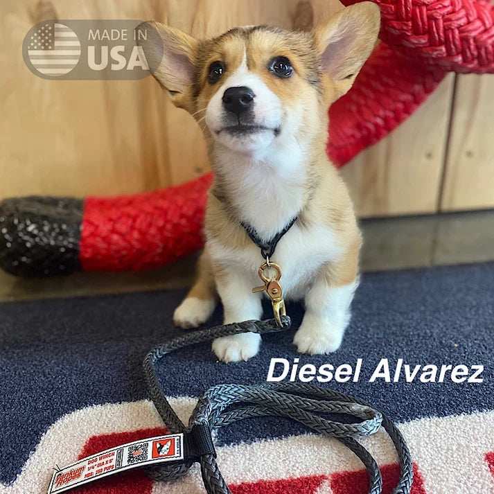 Load image into Gallery viewer, 5 Ft Dog Winch Leash - Skoutley Outdoors LLC