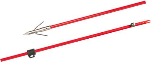 Cajun Bowfishing Arrow - Fiberglass W/piranha Point Xt - Skoutley Outdoors LLC