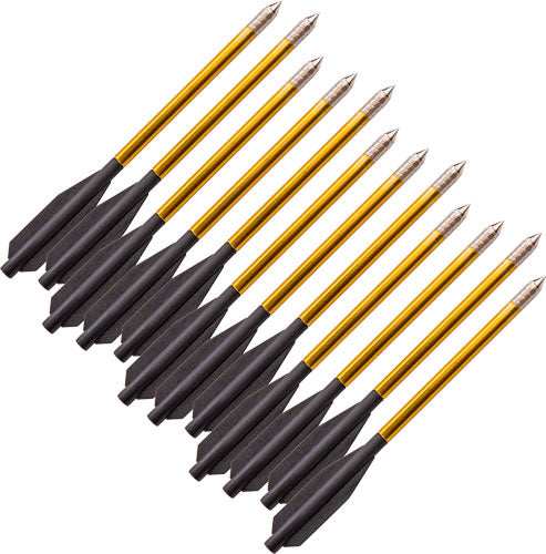 Bear-x Desire Crossbow Bolts - 12pk - Skoutley Outdoors LLC