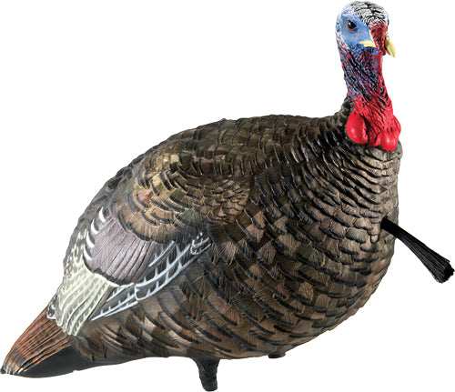 Avian X Lcd Quarter Strut Jake - Decoy - Skoutley Outdoors LLC