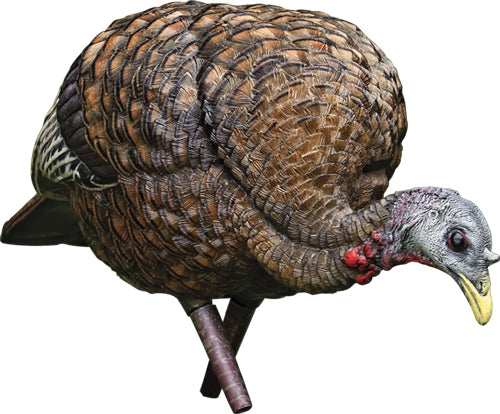 Avian X Lcd Feeder Hen Decoy - - Skoutley Outdoors LLC