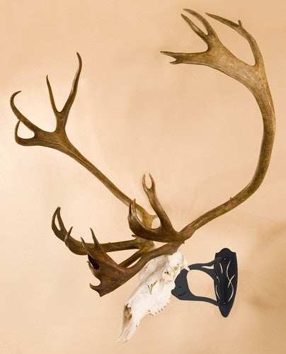 Skull Hooker Big Hooker - Graphite Black - Skoutley Outdoors LLC
