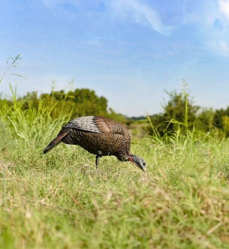 Flextone Thunder Chick Feeding - Hen Decoy W/stake - Skoutley Outdoors LLC