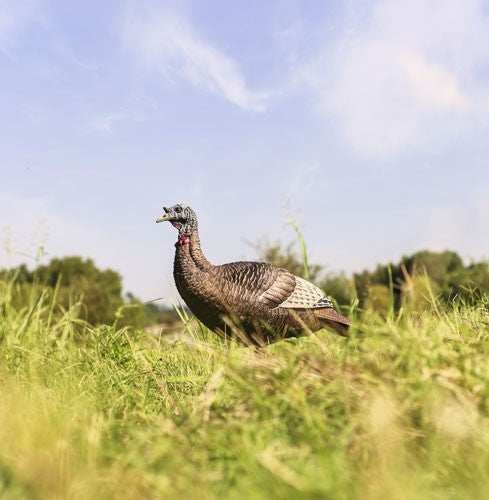 Flextone Thunder Chick Upright - Hen Decoy W/stake - Skoutley Outdoors LLC
