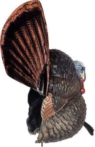 Flextone Thunder Creeper - Strutter Decoy W/ Folding Fan - Skoutley Outdoors LLC