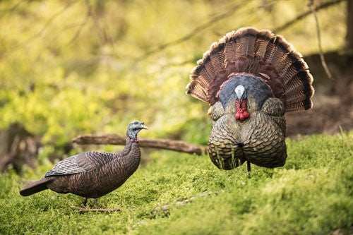 Flextone Thunder Creeper - Strutter Decoy W/ Folding Fan - Skoutley Outdoors LLC