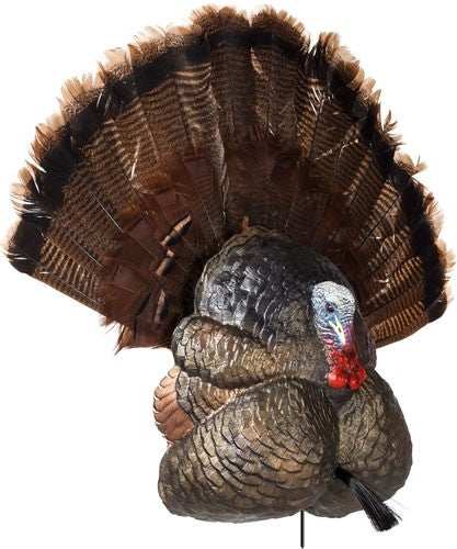 Flextone Thunder Creeper - Strutter Decoy W/ Folding Fan - Skoutley Outdoors LLC