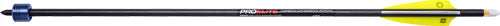 Tenpoint Xbow Discharge Arrow - 20