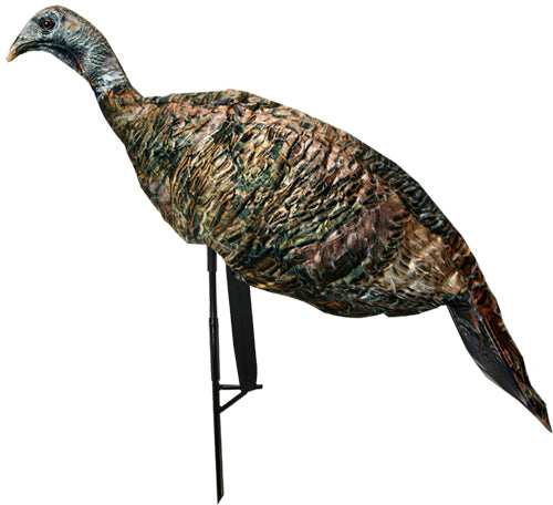 Montana Decoy Turkey Miss - Purr-fect Xd 3d Hen! - Skoutley Outdoors LLC