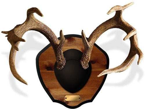 Mountain Mike's Deer Antler - Plaque Master Classic Kit - Skoutley Outdoors LLC