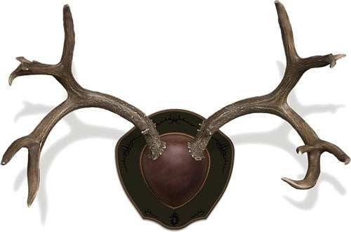 Mountain Mike's Deer Antler - Rack Plaque W/shed Spreader - Skoutley Outdoors LLC