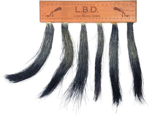 Pittman Game Calls Long Beard - Down Multi Turkey Beard Mount - Skoutley Outdoors LLC