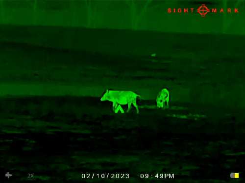 Sightmark Wraith Mini 2-16x35 - Thermal Rifle Scope 384x288 - Skoutley Outdoors LLC