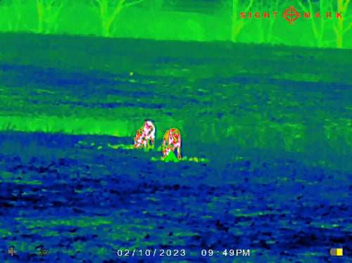 Load image into Gallery viewer, Sightmark Wraith Mini 2-16x35 - Thermal Rifle Scope 384x288 - Skoutley Outdoors LLC