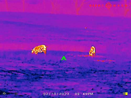 Load image into Gallery viewer, Sightmark Wraith Mini 2-16x35 - Thermal Rifle Scope 384x288 - Skoutley Outdoors LLC