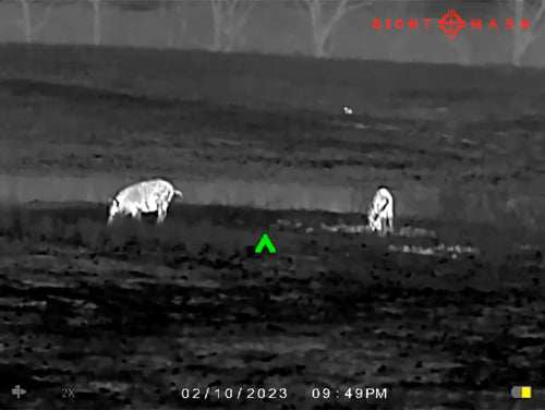 Load image into Gallery viewer, Sightmark Wraith Mini 2-16x35 - Thermal Rifle Scope 384x288 - Skoutley Outdoors LLC