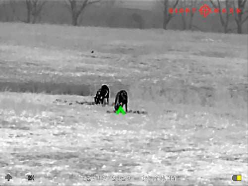 Load image into Gallery viewer, Sightmark Wraith Mini 2-16x35 - Thermal Rifle Scope 384x288 - Skoutley Outdoors LLC