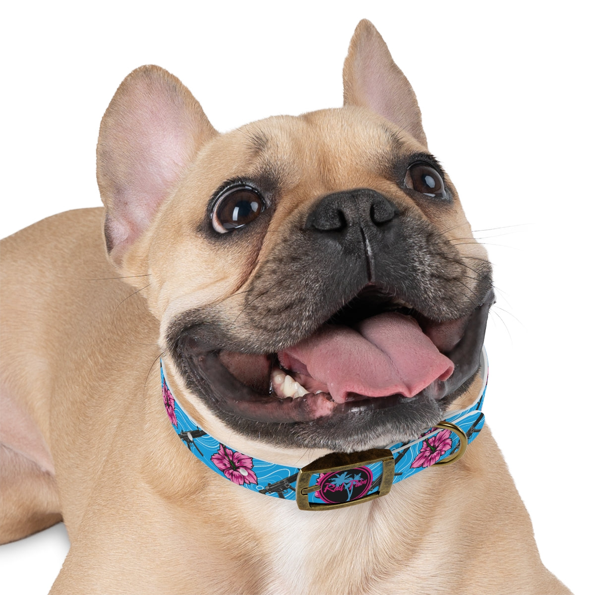 Rad Palm High Capacity Hibiscus Blue Dog Collar