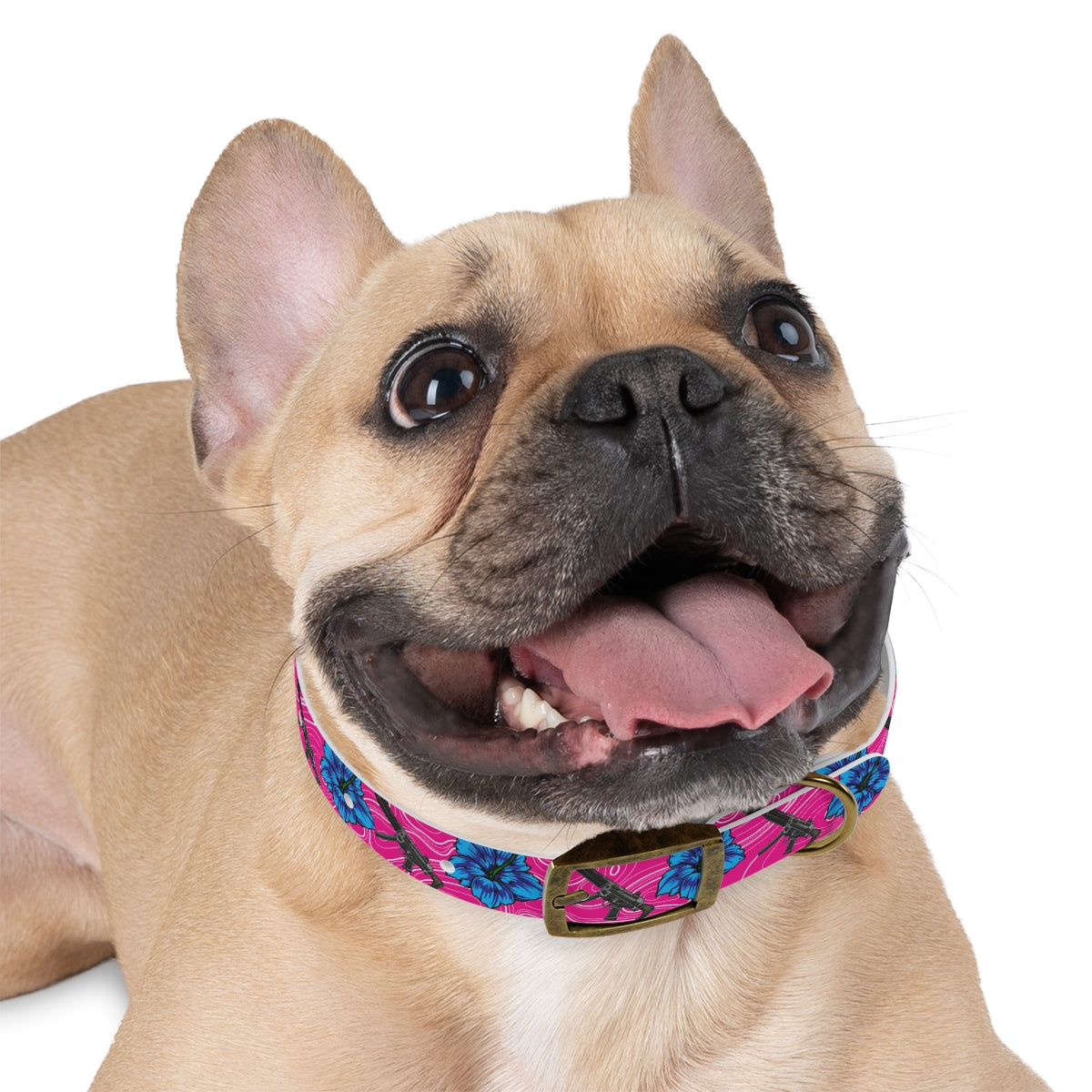 Rad Palm High Capacity Hibiscus Dog Collar