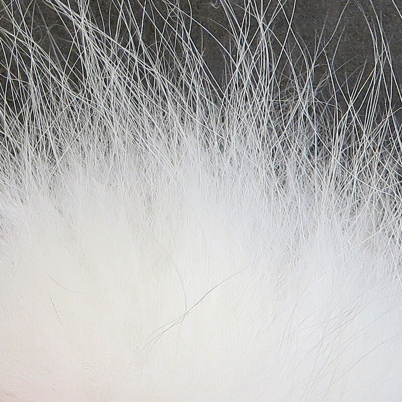 Load image into Gallery viewer, Arctic Fox Hair