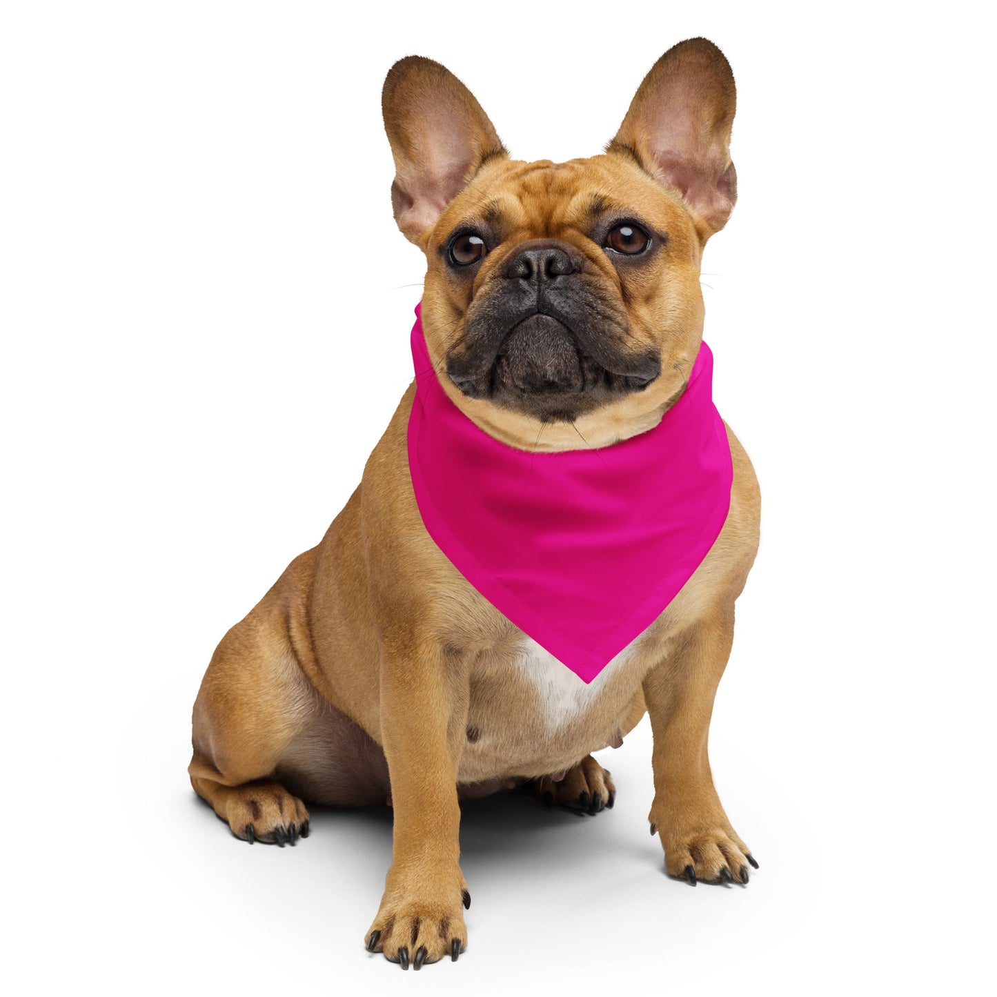 Hot Pink Bandana