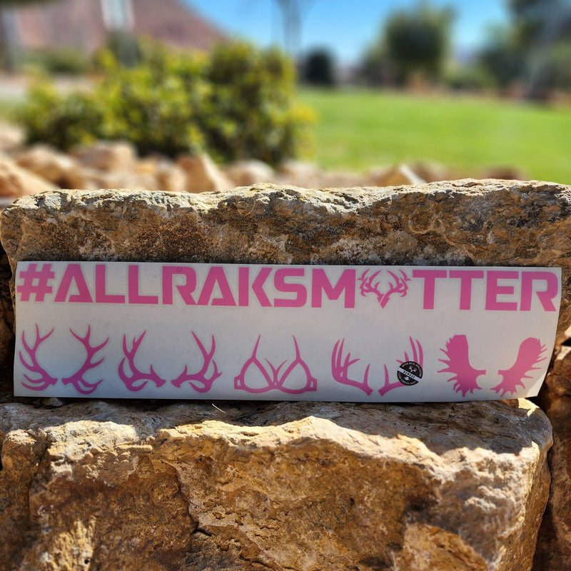 Load image into Gallery viewer, All Raks Matter ™ Boobies Decal