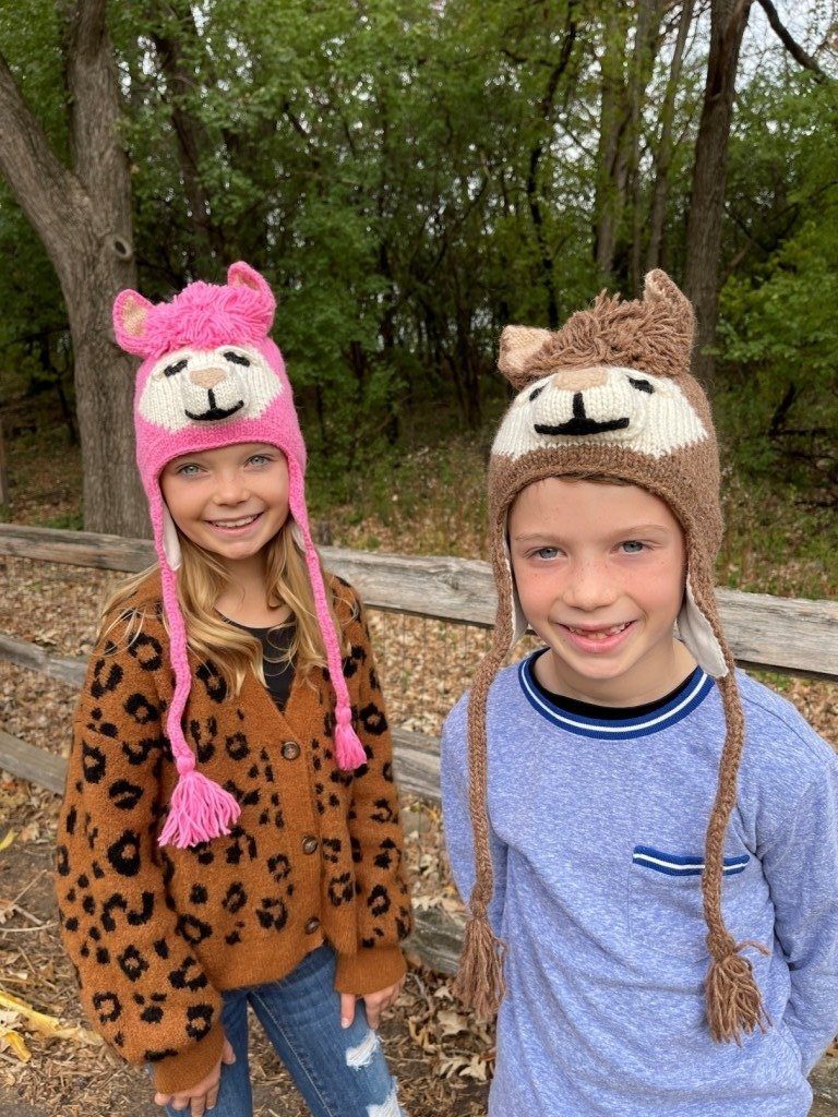 Load image into Gallery viewer, Alpaca Animal Hat