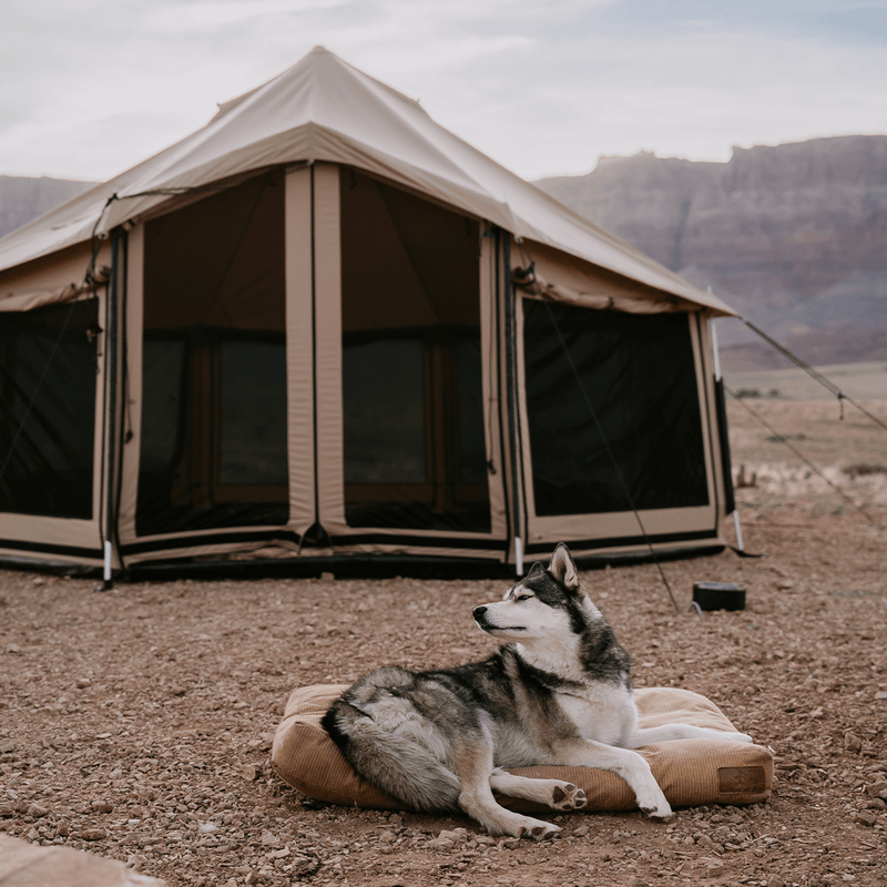 Load image into Gallery viewer, 18' Altimus Bell Tent